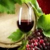 vitivinicultura-1.jpg